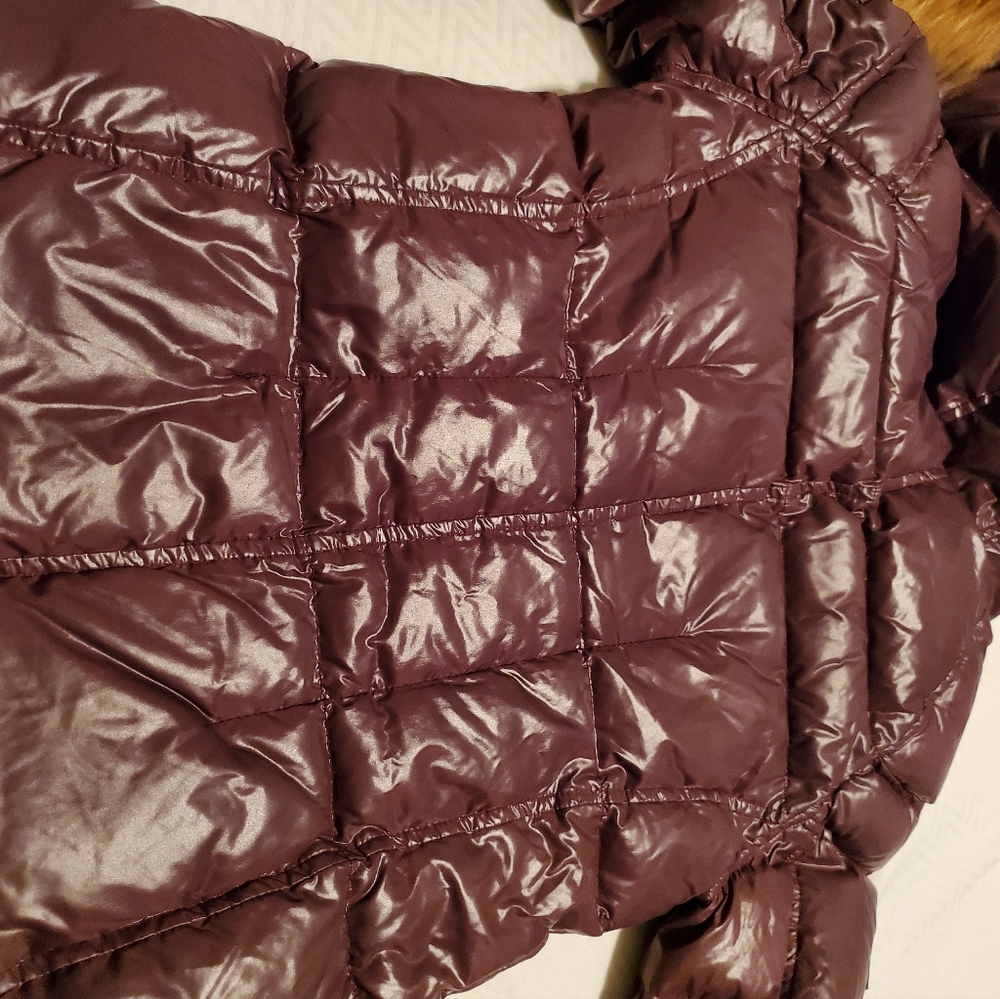 Lovely Jacket. - image 7